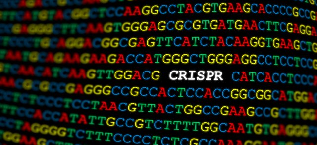 CRISPR